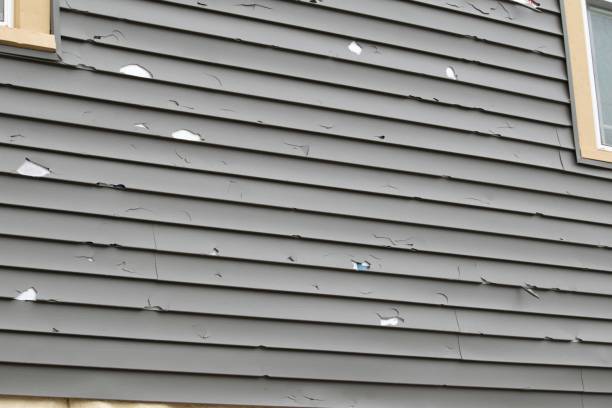 Best Custom Siding Design  in North Cape May, NJ